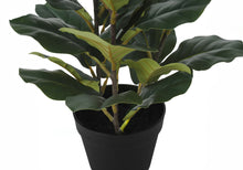 Load image into Gallery viewer, 32" Tall, Artificial Plant, Fiddle Tree, Indoor, Faux, Fake, Floor, Greenery, Potted, Real Touch, Decorative - Green / Black
