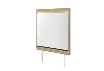 Genesis - Mirror With LED - Gold