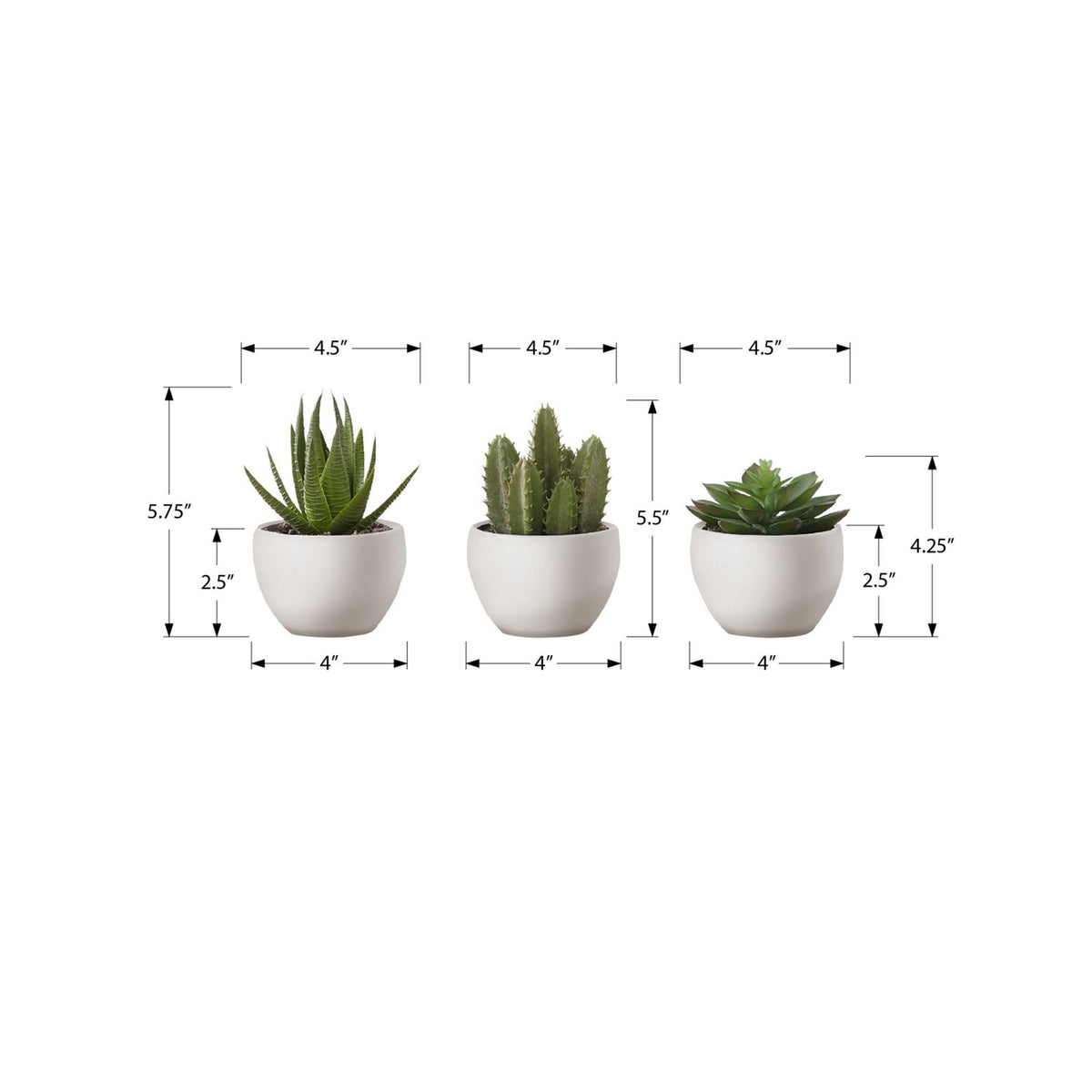 Artificial Succulent Plants (Set of 3) - Ego Home Furniture