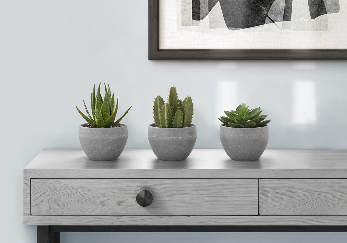 Artificial Succulent Plants (Set of 3) - Ego Home Furniture