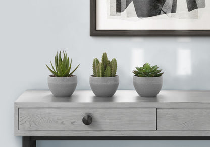 Artificial Succulent Plants (Set of 3) - Ego Home Furniture