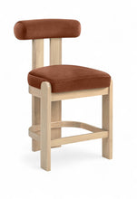 Load image into Gallery viewer, Arienzo - Velvet Performance Fabric Upholstered Counter Stool (Set of 2)

