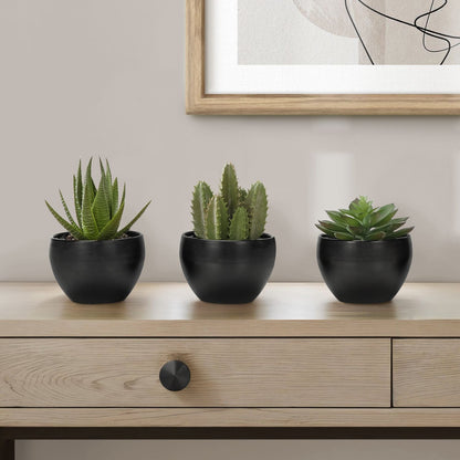 Artificial Succulent Plants (Set of 3) - Ego Home Furniture