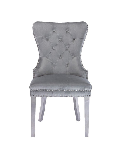 Galaxy Home Simba Stainless Steel Legs Dining Chair (Set of 2) in Silver