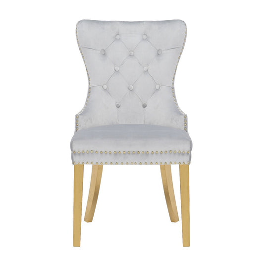 Galaxy Home Simba Gold Legs Dining Chair (Set of 2) in Silver