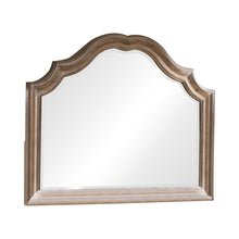 Load image into Gallery viewer, Ilana Traditional Dresser Mirror
